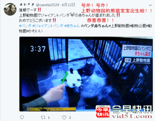真爱！日本人给一只熊猫宝宝起了32万个名字！
