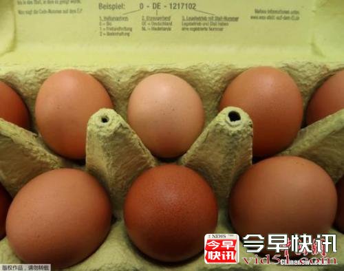 欧洲毒鸡蛋蔓延农户损失惨重 比利时拟民事索偿