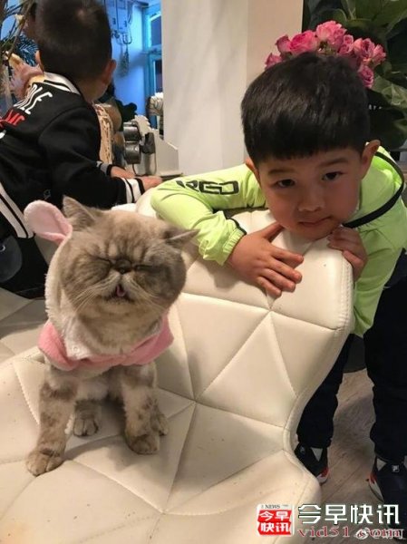 安吉小鱼儿和萌宠猫咪合影 网友担心沙溢家中地位