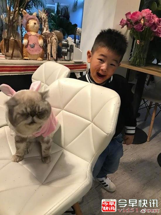 安吉小鱼儿和萌宠猫咪合影 网友担心沙溢家中地位