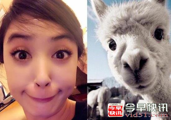 美不过三秒！蒋欣晒照秒变表情包 竟撞脸羊驼