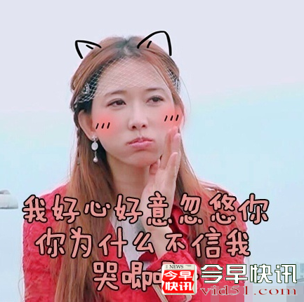 林志玲化身表情包