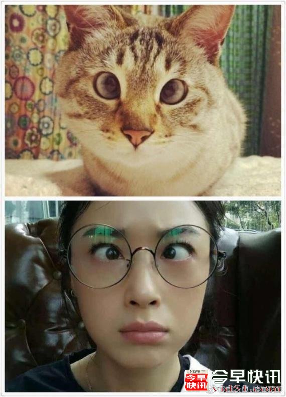 蒋欣