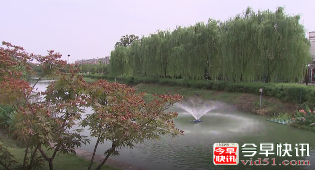 经过整治，目前，沿线水质已经好转。到7月底，峻壁溪连续4个月水质达到Ⅴ类以上标准，成为宁波市首个“摘帽”的县控劣Ⅴ类断面。据宁波市治水办工作人员方宁侃介绍，数值的检测比如说PH、溶解氧，这些数据从现在看来，达到了需要的指标。