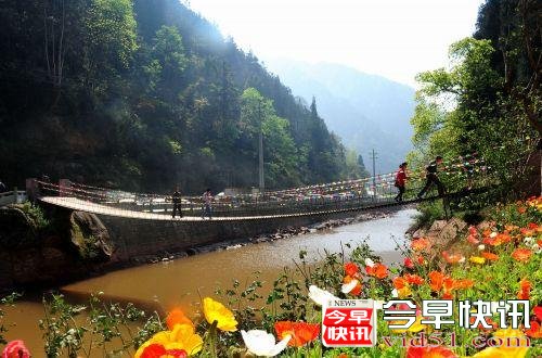 四面山风景如画。 主办方供图 郑江黎/摄