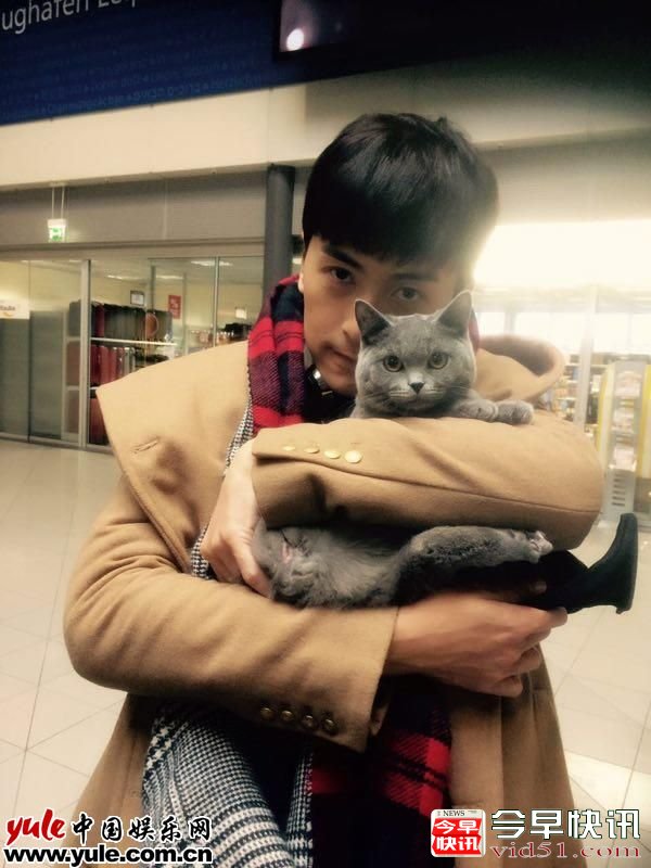 郑元畅猫咪同款照