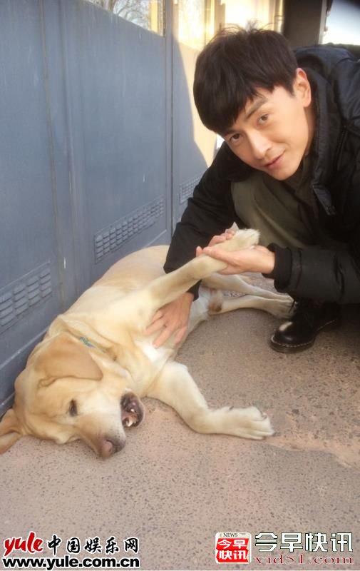 郑元畅宠物按摩