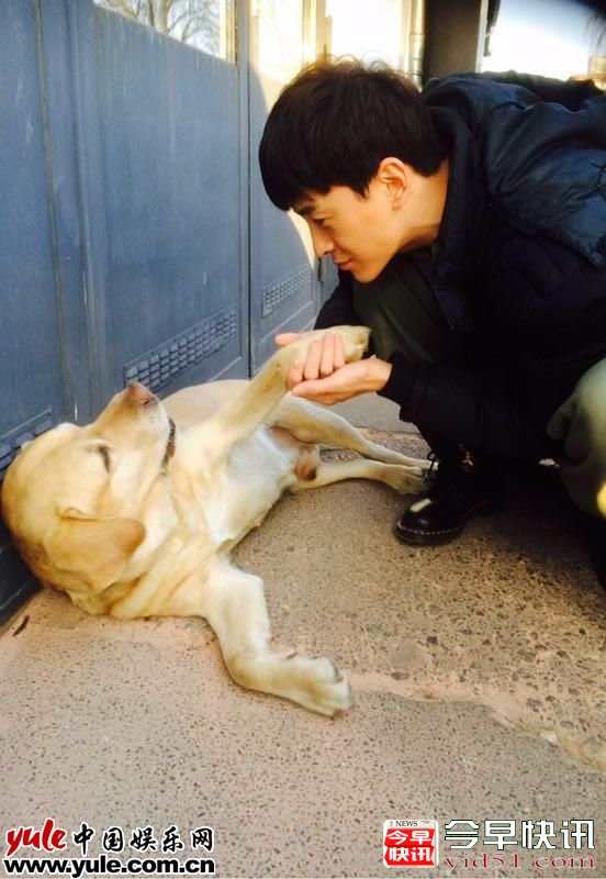 郑元畅与狗“握手”