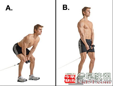 <b>Cable pull-through髋屈伸训练——绳索硬拉教学</b>