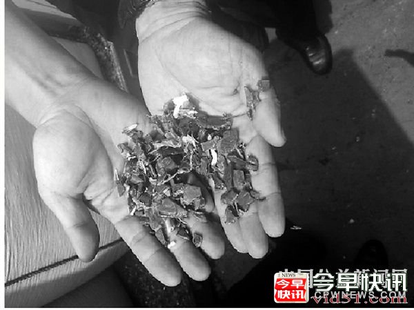 宁波：“洋垃圾”全国第一守门员