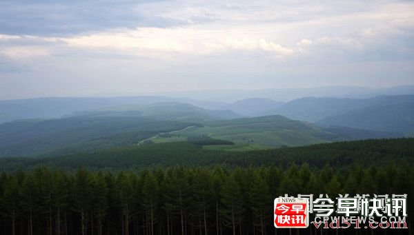 从一棵树到一片“海”——塞罕坝生态文明建设范例启示录