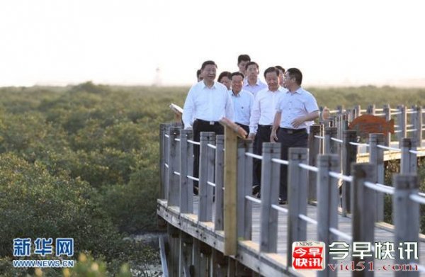 这五年，习近平引领生态环保带来五大改变