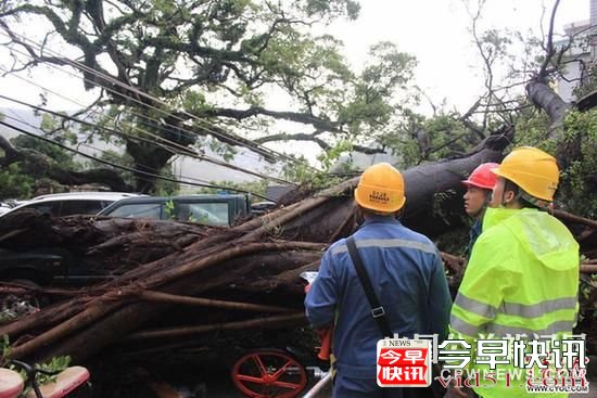 今年最强台风“天鸽”凶猛袭粤