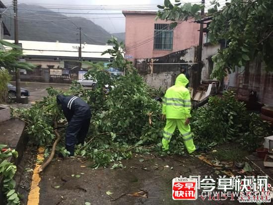 今年最强台风“天鸽”凶猛袭粤