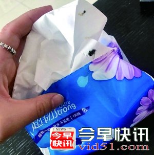 恶心！维达纸巾被爆粘着死苍蝇