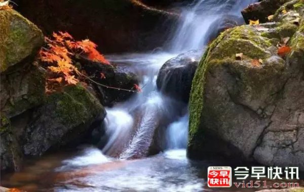 古人六养：水声养耳，绿草养目，书卷养心