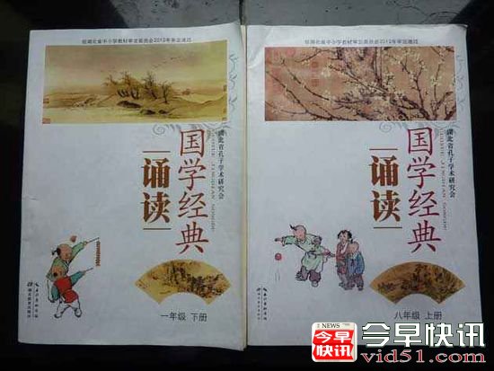 湖北省国学教育推广工作成果显著