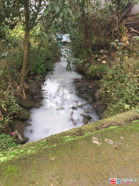 四川绵竹现“牛奶沟”村民疑水污染 环保
