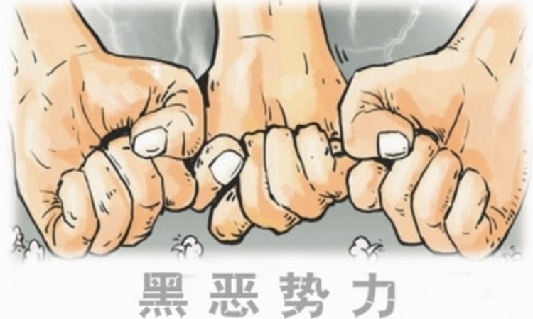 <strong>廊坊＂医院院长坠楼＂后续:涉嫌刑事犯罪的杨玉忠投案</strong>