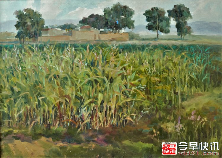 油画《玉米地》（50x70公分）2018、8布面油画_conew1.jpg
